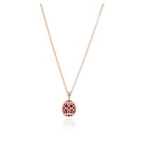 Necklace Demaria Woman Alexandra in Silver Cristallo ALP1689RPU